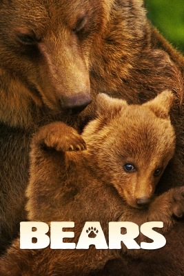 Poster phim Bears