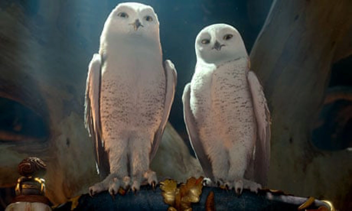 Hộ Vệ Xứ GaHoole - Legend Of The Guardians: The Owls Of Ga'Hoole