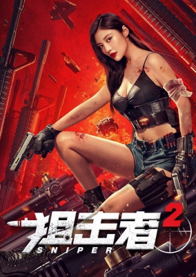 Poster phim Tay Súng Bắn Tỉa 2